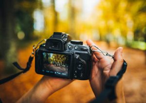 How to Take Photos: A Beginner's Guide
